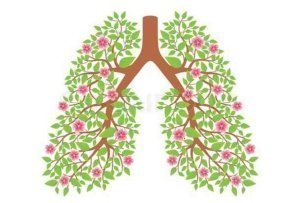 Литовит-М при аллергических состояниях, бронхиальной астме