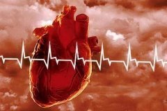Значение минерального обмена в профилактике сердечно-сосудистых заболеваний
