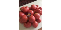 Как предотвратить появление  фитофторы на помидорах
