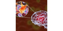 Как коронавирус влияет на мозг