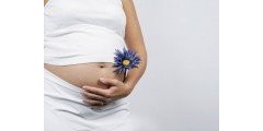 Профилактические программы для беременных по триместрам