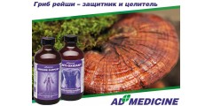 Гриб Рейши (Ganoderma lucidum) - удивительный гриб для укрепления здоровья и сохранения долголетия