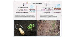 Как подготовить почву для посадки огородных культур
