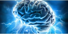 Как ЭМ-курунга влияет на мозговую деятельность