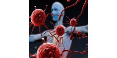 1 марта – Всемирный день иммунитета!