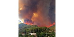 Влияние дыма от лесных пожаров на состояние здоровья