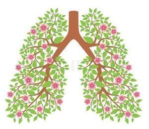 Рекомендации при бронхиальной астме, по образу жизни и питанию