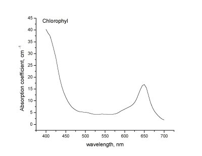 Спектр поглощения хлорофиллипта