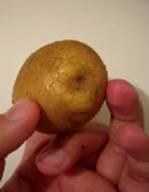 Способ выращивания раннего картофеля с «Байкалом ЭМ-1»!
