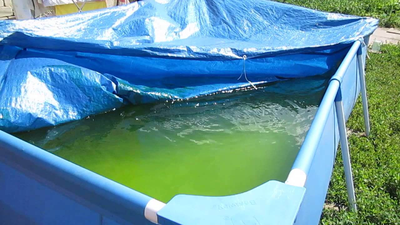 Эмикс-О предотвращает цветение воды в бассейне