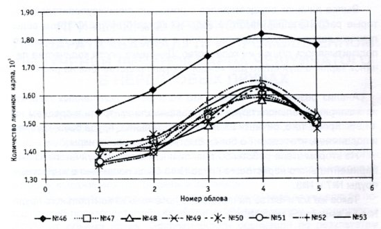 Динамика изменения количества личинок карпа чешуйчатого в ходе эксперимента