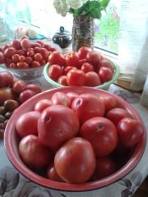 Спасибо за ГуматЭМ - два помидора весят один килограмм!