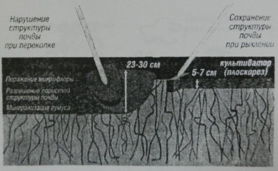 Рисунок 4. Структуры почвы при механической обработке