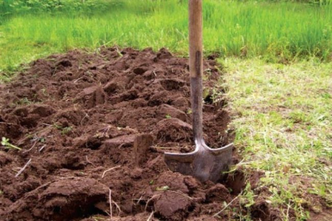 Способы осенней обработки почвы