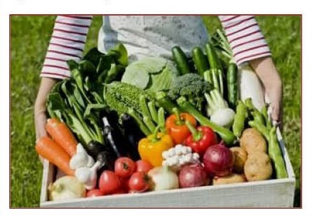 ЭМ-правила сохранения овощей, корнеплодов и цветов