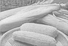 Влияние ЭМ на питательную ценность кукурузного силоса