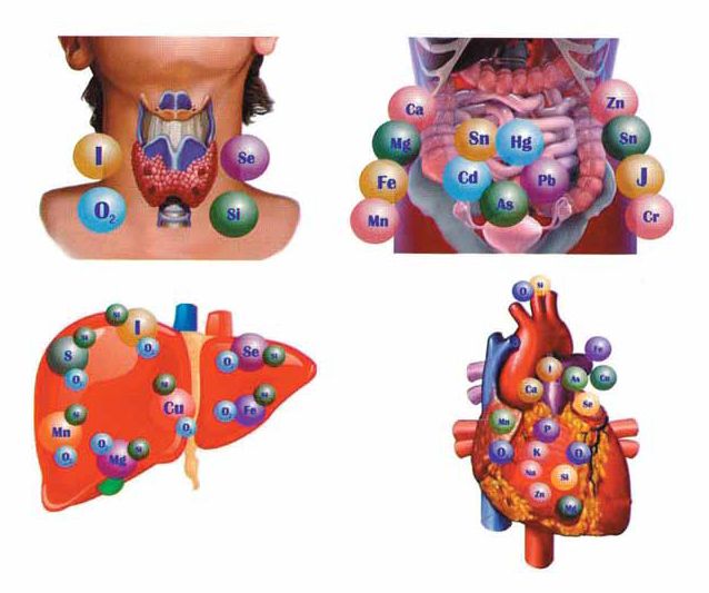Роль макро- и микроэлементов в обмене веществ и функциях органов и систем
