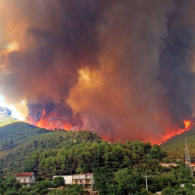 Влияние дыма от лесных пожаров на состояние здоровья