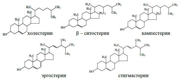 Структурные формулы холестерина и фитостеринов
