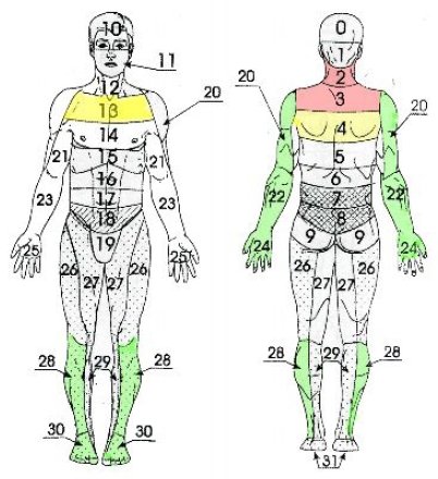 Травмы и переломы верхних конечностей (рис. 14)