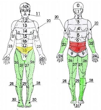 Травмы и переломы нижних конечностей (рис. 15)