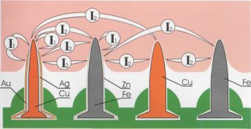 Схематическое изображение электрических ионных токов в коже, происходящих на кончиках игл и между иглами из разных металлов